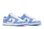 NIKE DUNK POLAR