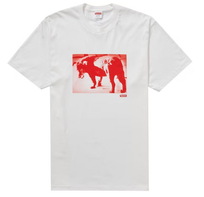 SUPREME DAIDO MORIYAMA DOG